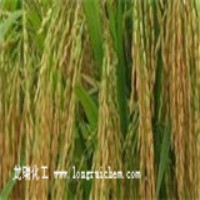 硫酸鋅在水稻上的使用方法